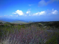 CA3A1137.jpg