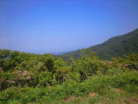 CA3A1155.jpg