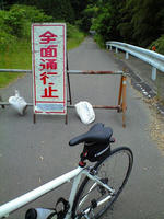 CA3A1166.jpg