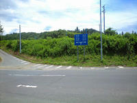 CA3A1248.jpg