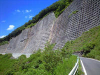 CA3A1260.jpg