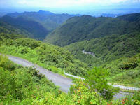 CA3A1263.jpg