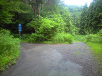 CA3A1268.jpg