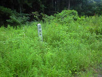 CA3A1269.jpg
