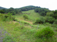 CA3A1274.jpg