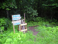 CA3A1275.jpg