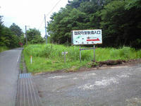 CA3A1276.jpg