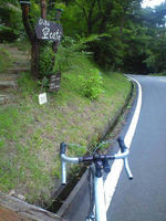 CA3A1294.jpg