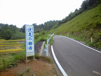 CA3A1337.jpg