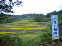 CA3A1338.jpg