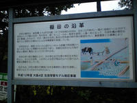 CA3A1339.jpg