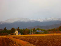 P1000006.jpg