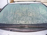 P1000027.jpg
