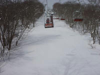 P1000070.jpg