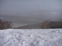 P1000071.jpg