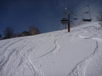P1000072.jpg
