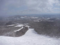 P1000073.jpg