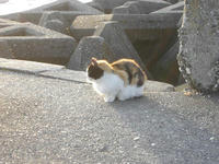 080303b.jpg