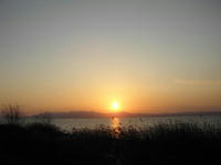 080303c.jpg