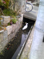 090105a.jpg