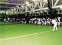 15.gif