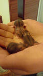 P1010007.JPG