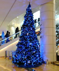 081207-1.jpg