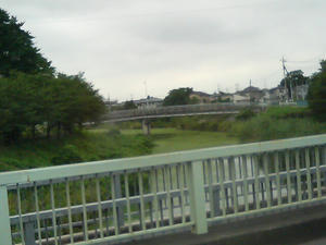 川の水が緑・・・藻の大量繁殖？？？
