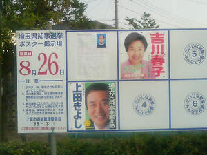 埼玉県知事選挙