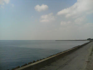 千葉の海（内房）