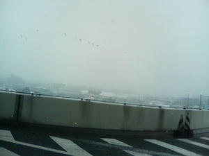 DSC00626.JPG