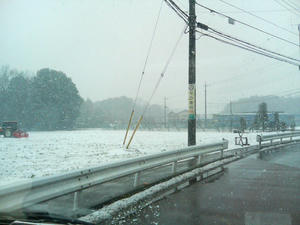 雪