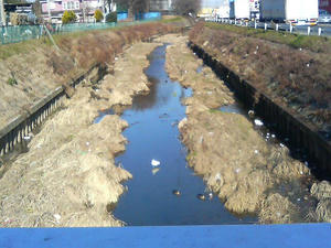 川越の川