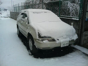 ゆきだらけハリアー