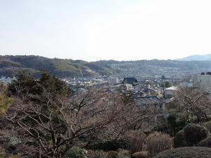 兼六園行ってきた