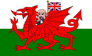 新イギリス国旗??ゼロの使い魔 ルイズバージョン