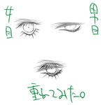 eye.jpg