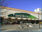 img1.jpg