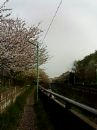 9f94cbc3.jpeg