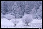 nd0080m.jpg