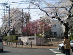a992bca6.JPG