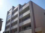 651d1a9d.JPG
