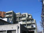 imageCAQLSVF5.jpg
