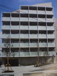 54e63e25.JPG