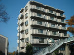 e2ed854c.JPG