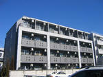 a79cb9a3.JPG