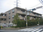 547cf392.JPG