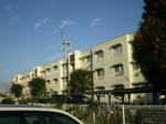 08bb703b.JPG