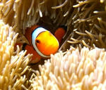 s-2008082219224425310.jpg