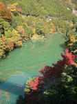2004.1177.jpg